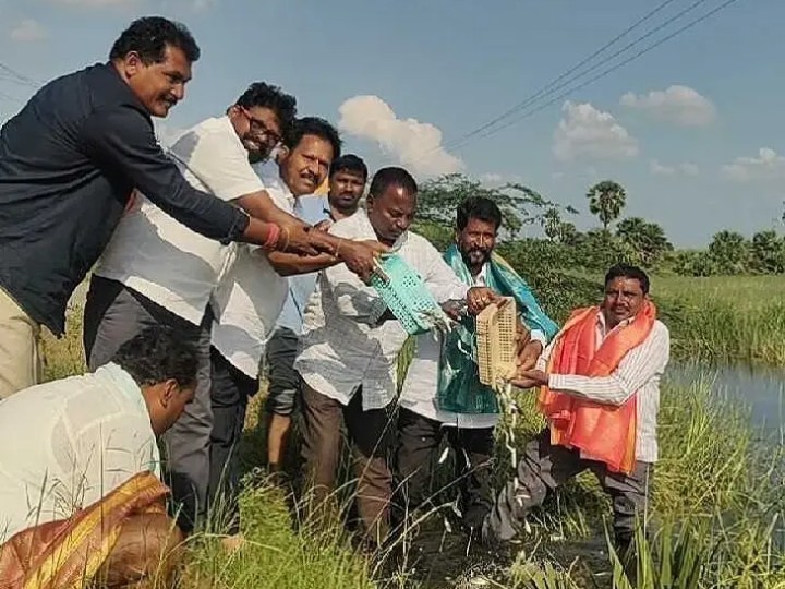 చెరువుకు చేరుతున్న చేప.. 6 కోట్ల చేప పిల్లల పంపిణీ