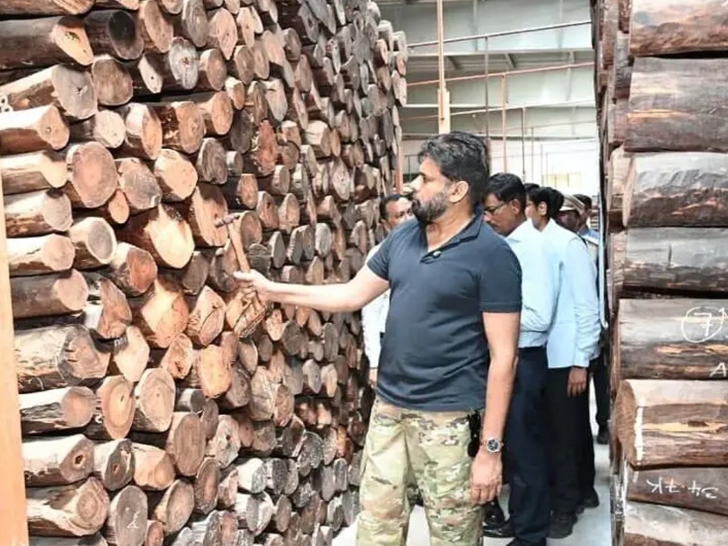 ఎర్రచందనం దుంగలను పరిశీలిస్తున్న పవన్