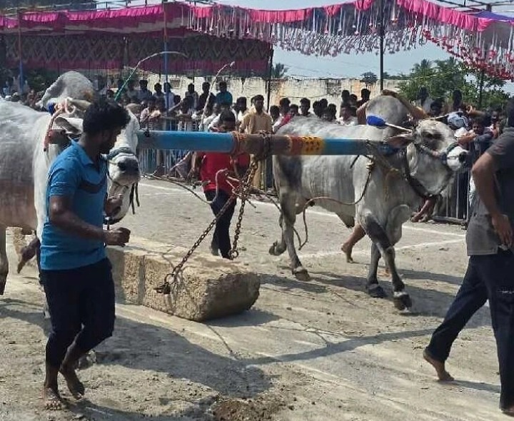 త్వరలో చెర్లోపల్లెలో బండలాగుడు పోటీలు