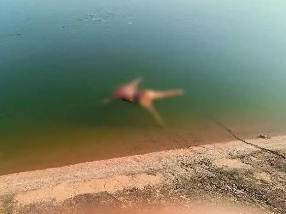 హెచ్ఎల్సీ కాలువలో మృతదేహాలు లభ్యం