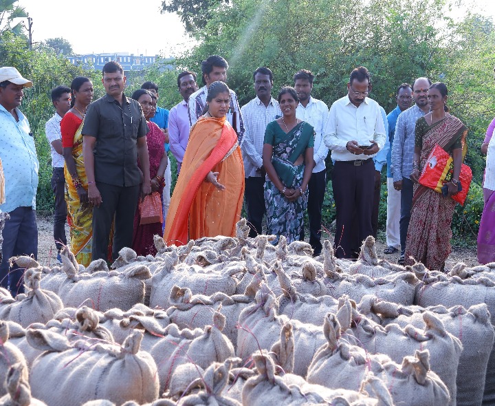 కొనుగోలు కేంద్రాలను ఆకస్మికంగా తనిఖీ చేసిన కలెక్టర్