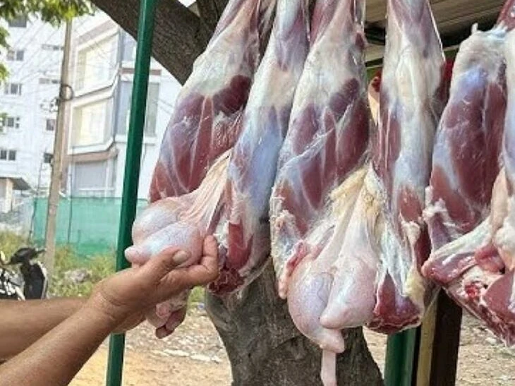 విజయవాడలో కల్తీ మాంసం..?