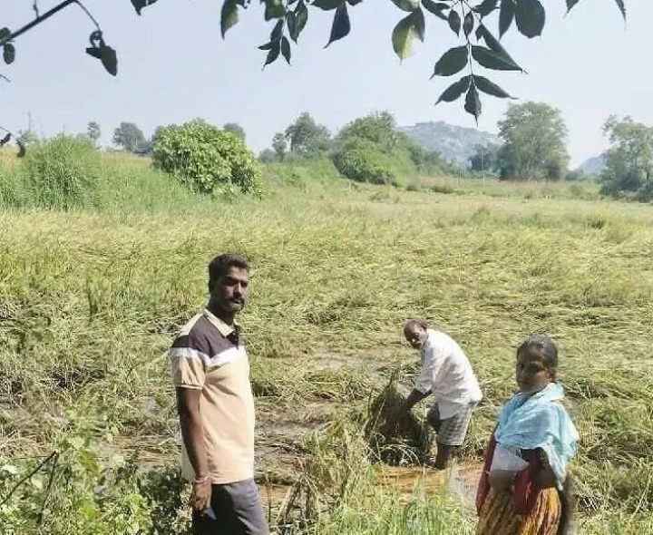 ‘రైతు నేస్తం యాప్‌లో అప్లోడ్ చేసుకోవాలి’