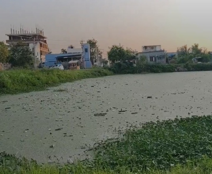 మల్కాపురం కోనేరు అభివృద్ధి ఎప్పుడో..?