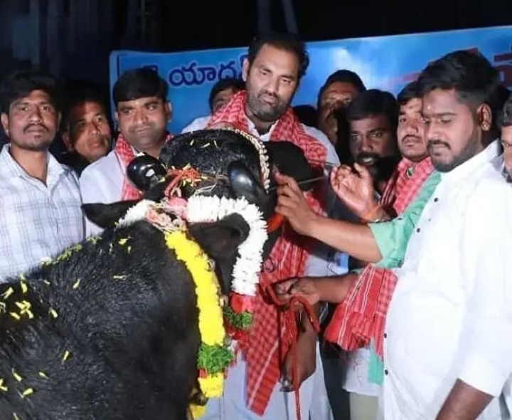 సదర్ ఉత్సవంలో పాల్గొన్న ఎమ్మెల్యే