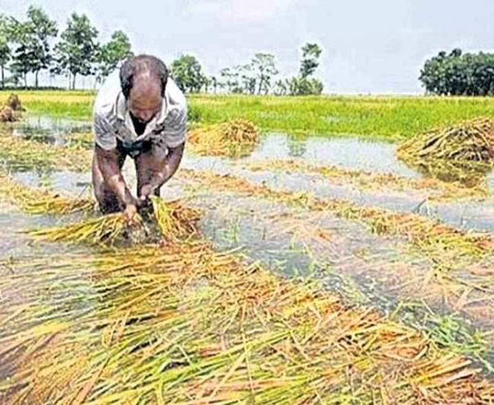 జిల్లాలో నేడు కేంద్ర బృందం పర్యటన