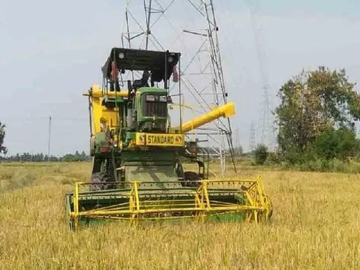 ఆయకట్టులో జోరుగా వరి కోతలు