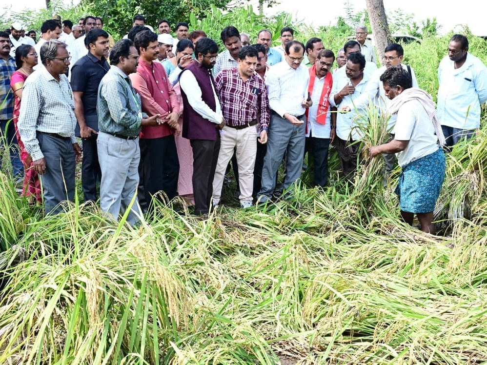మొంథా తుఫాన్ పంట నష్టాన్ని పరిశీలించిన కేంద్ర బృందం