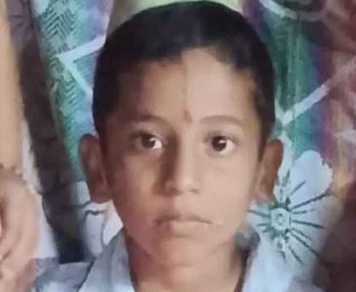 పాము కాటుతో బాలుడి మృతి.. డీఎంహెచ్‌వో వివరణ