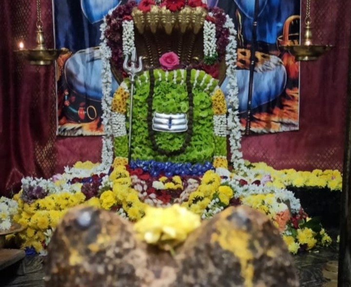 ప్రత్యేక అలంకరణలో స్వయంభుజంబుకేశ్వరుడు