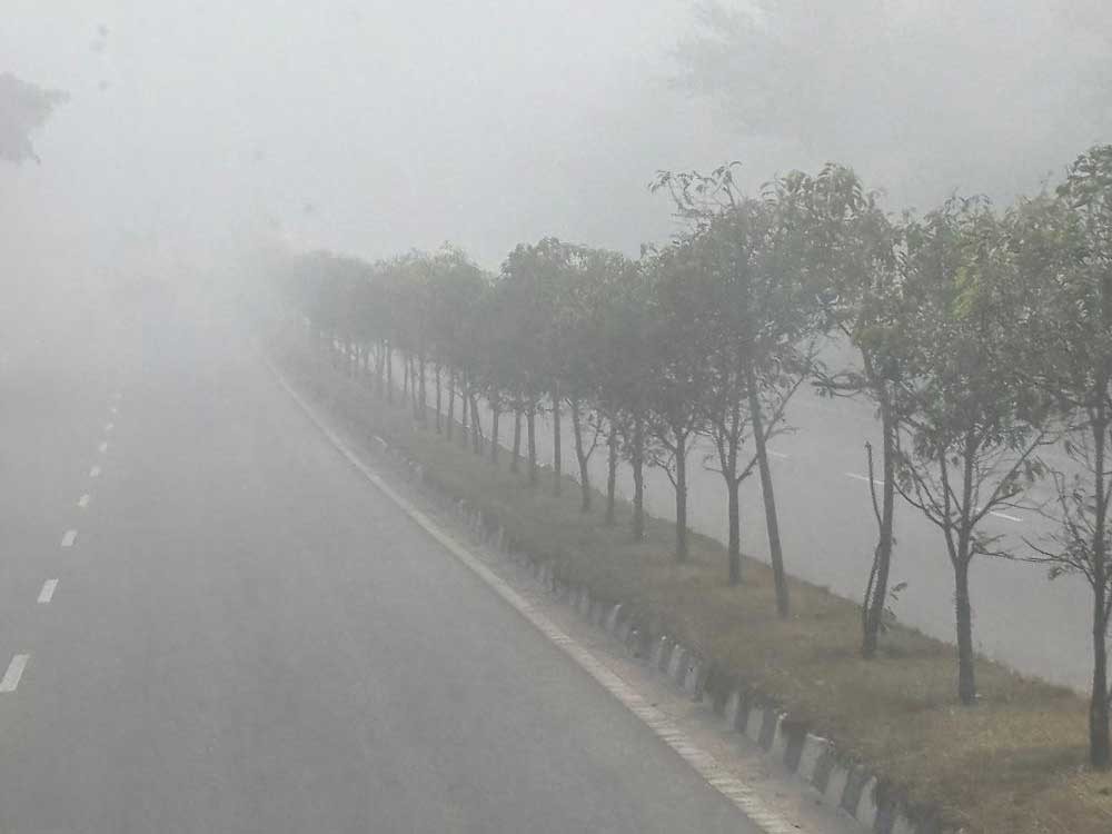 ఉమ్మడి ఆదిలాబాద్ జిల్లాలో చలి పంజా