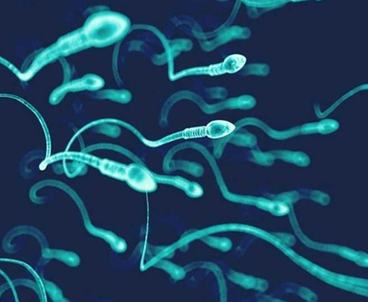 బరువు అలా తగ్గితేనే సంతాన అవకాశాలు!