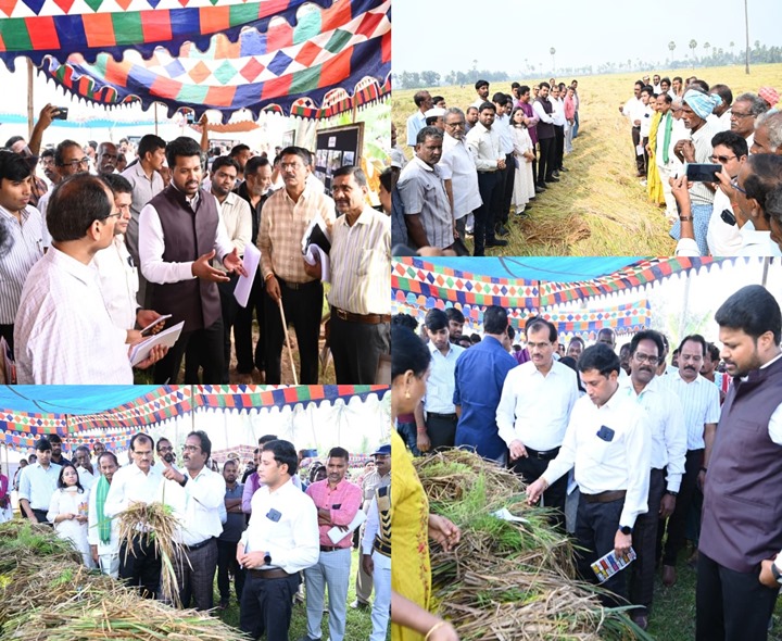 బాపట్ల జిల్లాలో కేంద్ర బృందం పర్యటన