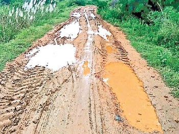 అధ్వానంగా సింగపేటకు రోడ్డు