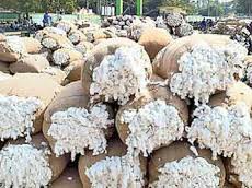 తగ్గిన పత్తి ధర.. నిరాశతో రైతులు