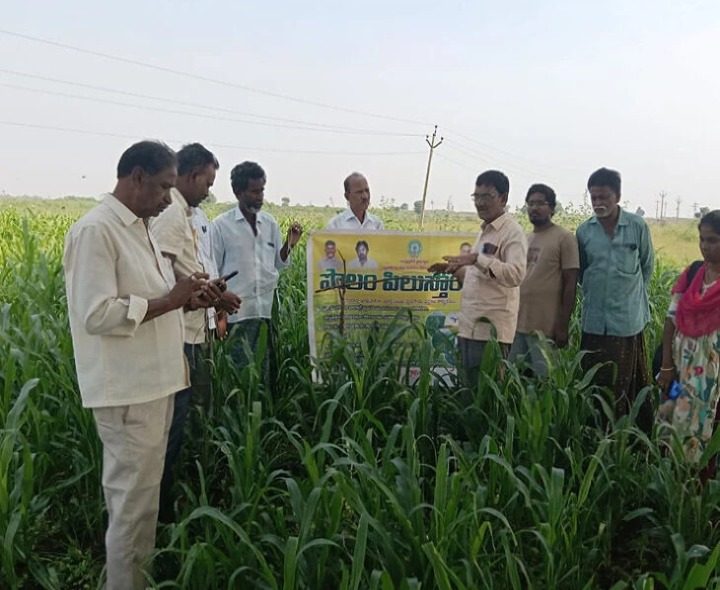 వేములలో ‘పొలం పిలుస్తోంది’ కార్యక్రమం