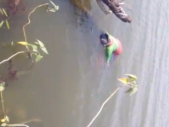 ప్రమాదవశత్తు నీటిలో మునిగి వృద్ధురాలు మృతి