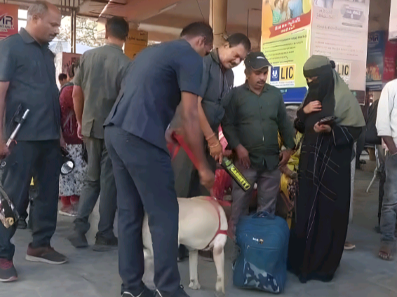 కామారెడ్డిలో పోలీసుల విస్తృత తనిఖీలు