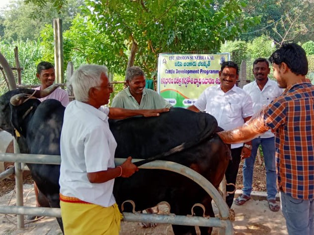 భద్రాచలంలో ఉచిత పశు వైద్య శిబిరం