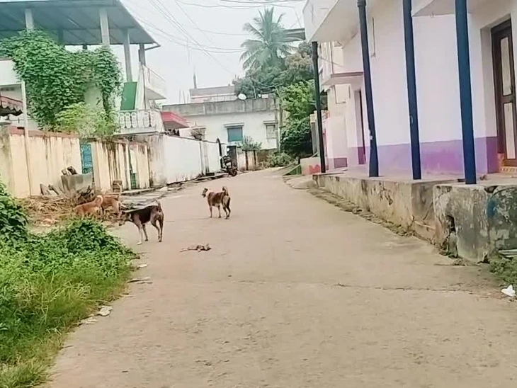 దేవరపల్లిలో వీధి కుక్కల వీరంగం