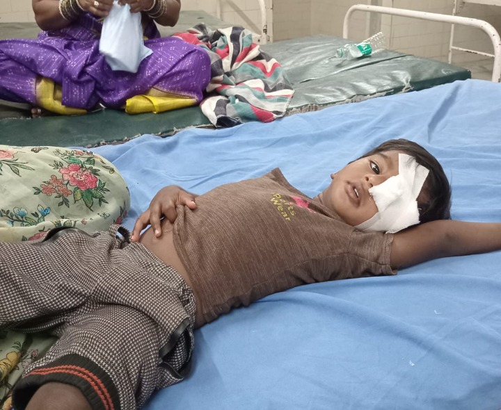 మూడేళ్ల బాలుడిపై వీధికుక్కల దాడి