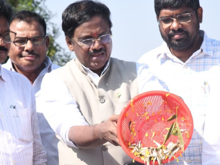 ఉచిత చేప పిల్లలను విడుదల చేసిన మంత్రి