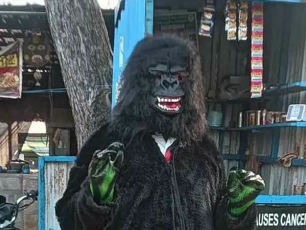 కోతులను తరిమికొట్టేందుకు  వినూత్న ప్రయత్నం