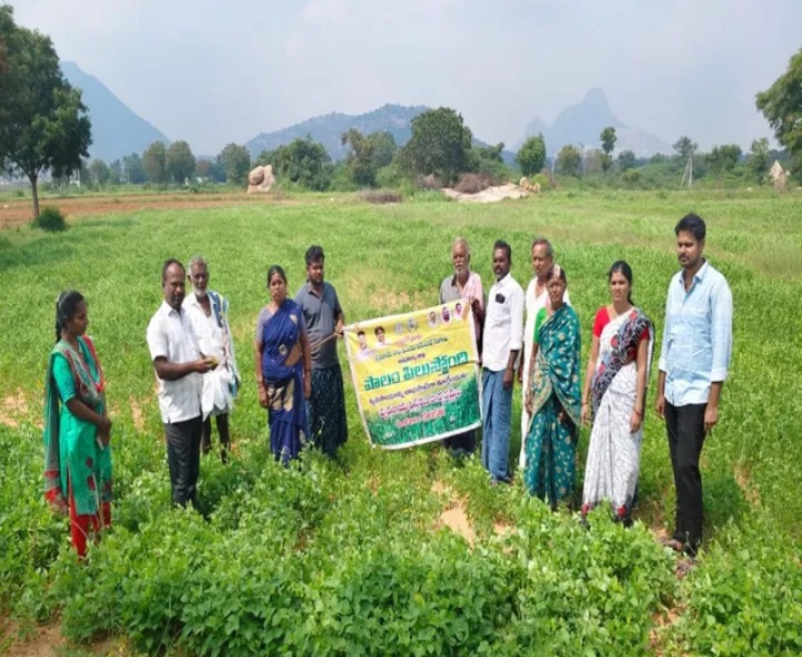 ‘వేరుశనగ పంటపై రైతులు దృష్టి సారించాలి’