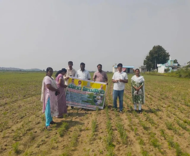 ‘మెలకువలు పాటిస్తే అధిక దిగుబడులు పొందవచ్చు’