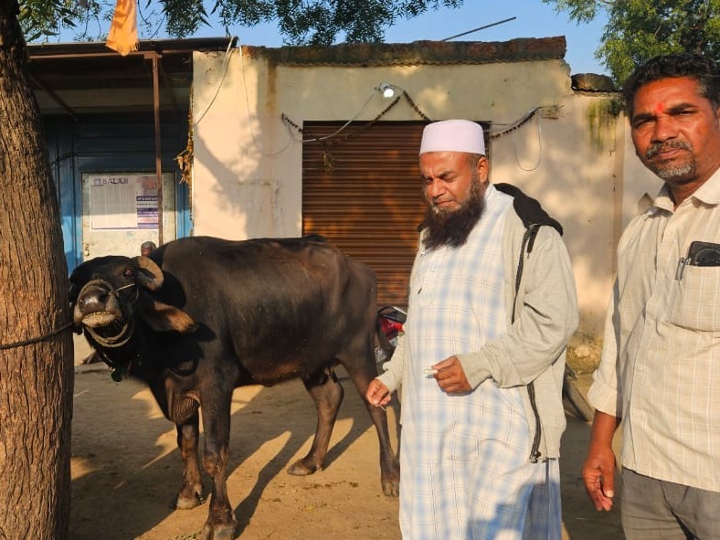ఉచిత పశు వైద్య శిబిరంలో గాలికుంటు టీకాలు