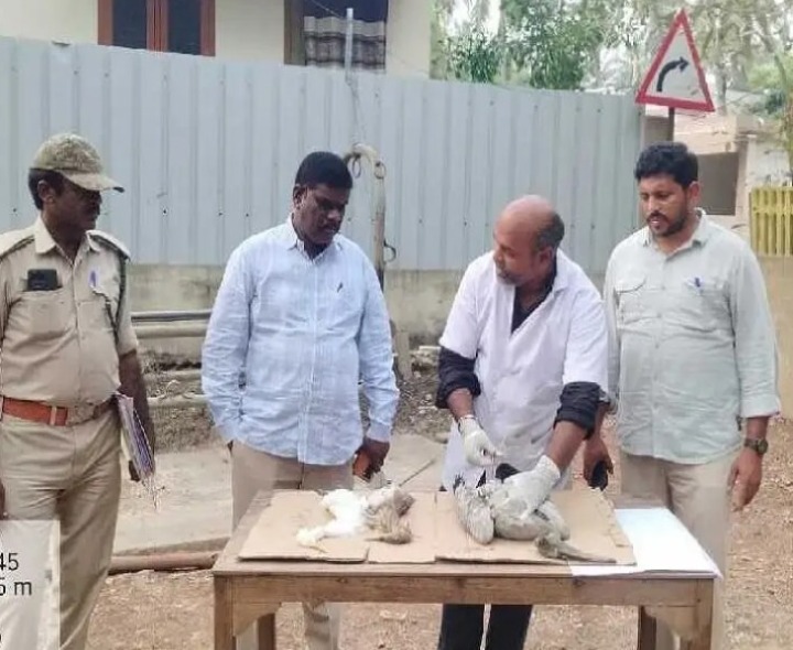 వేటగాడిపై కేసు నమోదు