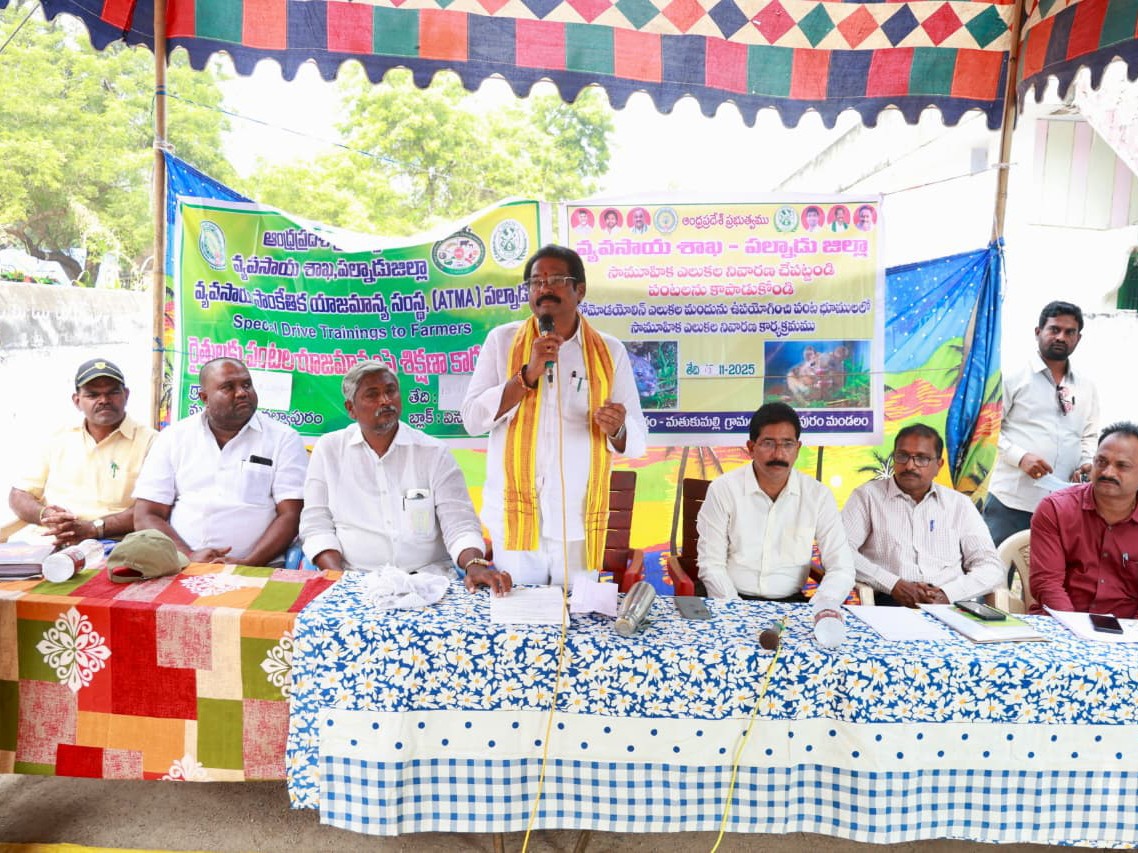 పంటలను ఎలుకల బారి నుండి కాపాడుకోవాలి : ఎమ్మెల్యే