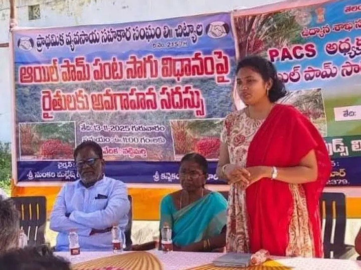 ‘చిట్యాల పరిధిలో 200 ఎకరాల్లో ఆయిల్ పామ్ సాగు లక్ష్యం’