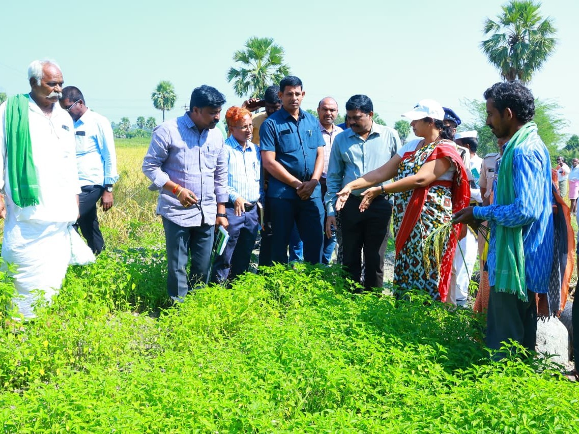 సహజ వ్యవసాయాన్ని ప్రోత్సహించాలి: కలెక్టర్