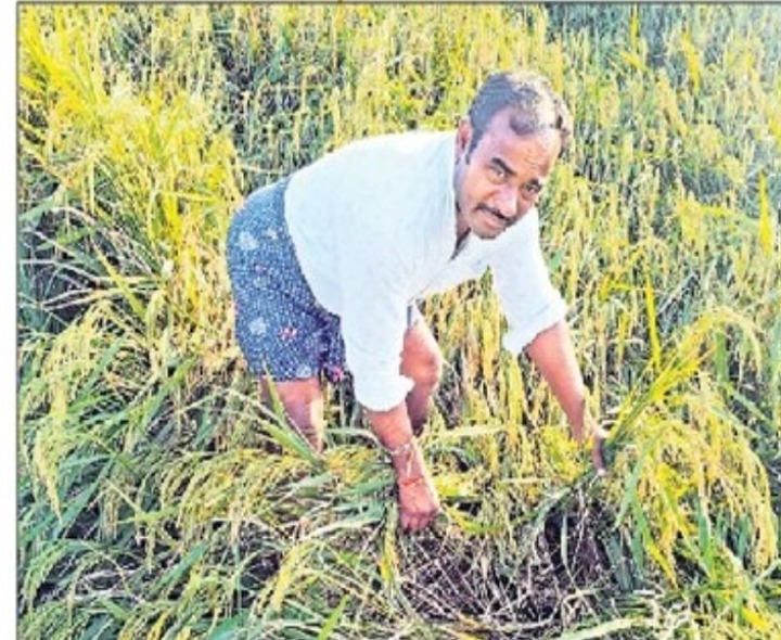 HIT NEWS కథనానికి అధికారుల స్పందన