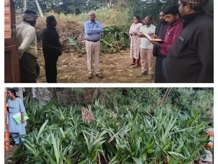 నాసిరకం మొక్కలను తరలిస్తున్న వ్యక్తి అరెస్ట్