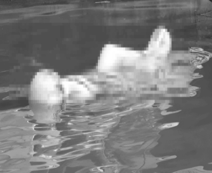 కాలువలో మహిళ మృతదేహం వెలికితీత