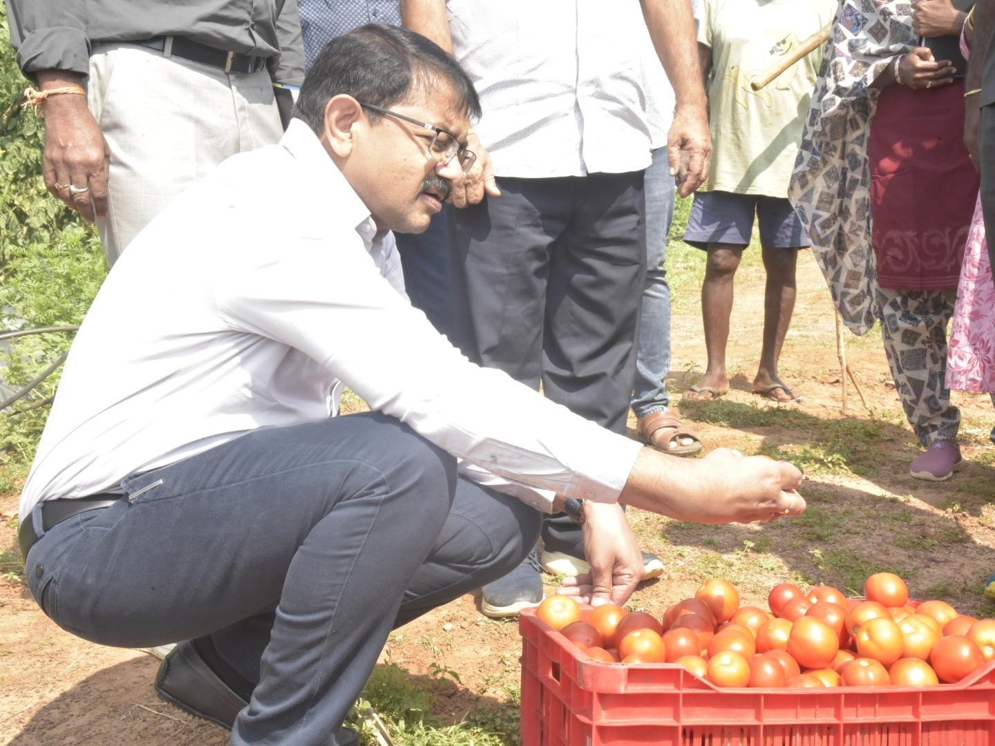 గంట్యాడలో పర్యటించిన కలెక్టర్