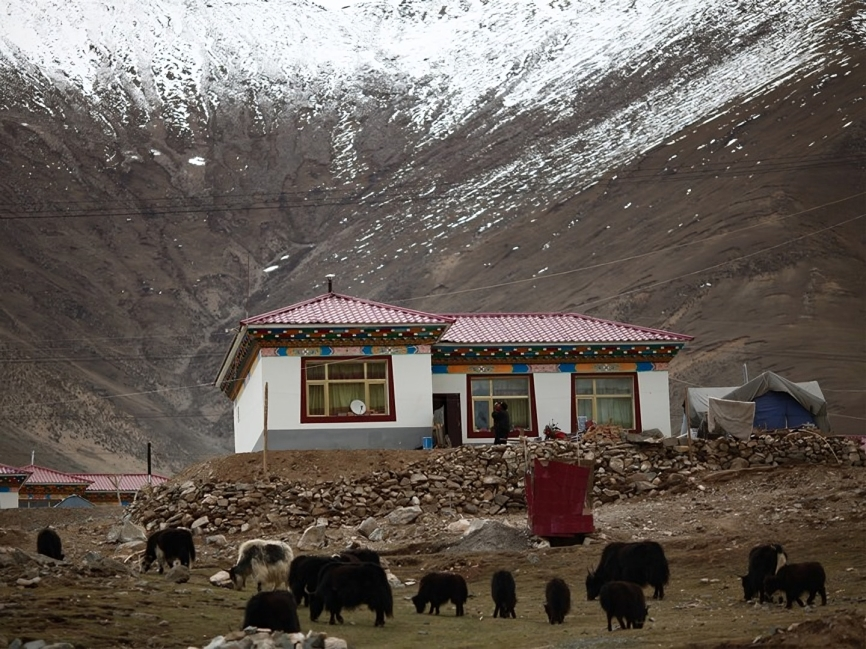 టిబెట్‌లో 4.1 తీవ్రతతో భూకంపం