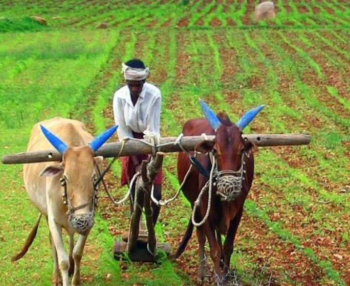 శింగనమల రైతులకు ముఖ్య గమనిక