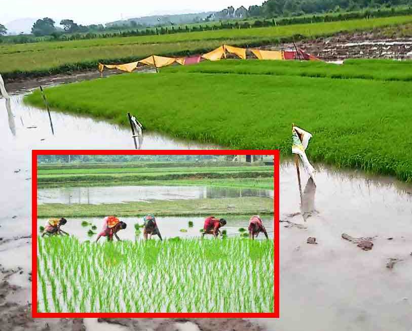 HIT TV: రైతులకు సూచనలు