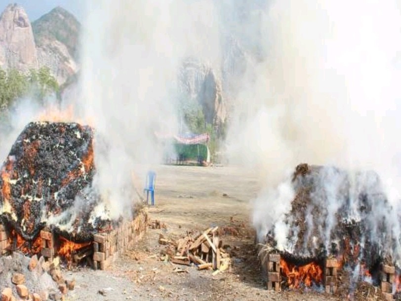 2.55 కోట్ల విలువైన గంజాయి దగ్ధం