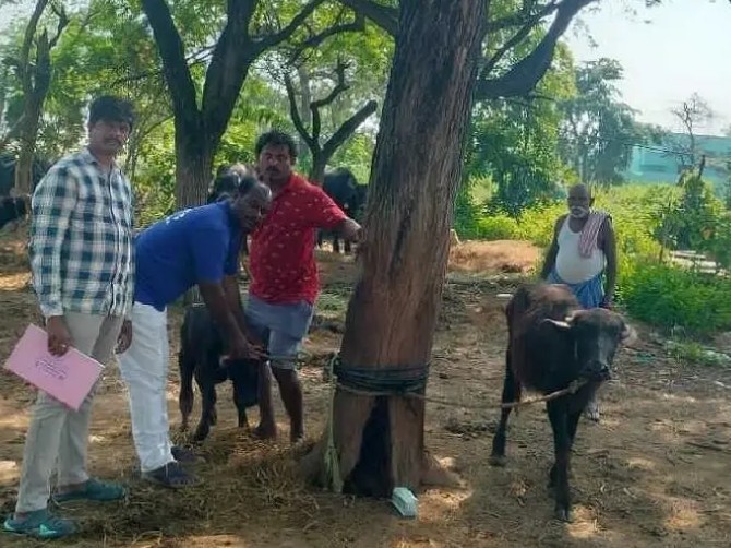 8 నెలల నుంచి జీతాలు లేవు: గోపాల మిత్రులు