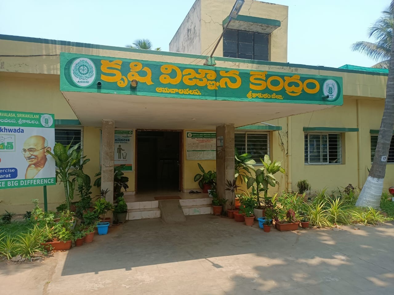 ఈనెల 17 నుంచి కూరగాయల నారు పెంపకంపై శిక్షణ