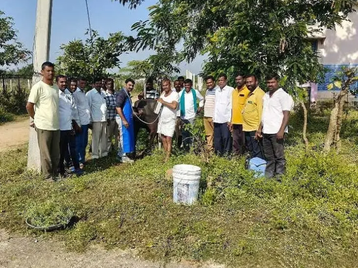 పశువ్యాధుల పట్ల రైతులు నిర్లక్ష్యం చేయవద్దు: రవికిరణ్