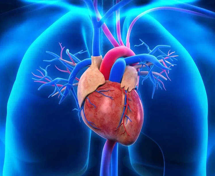 గుండె ఆరోగ్యం కోసం ఇలా చేయండి..!