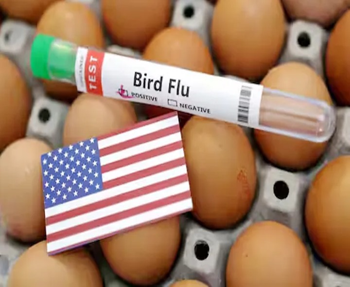 కొత్త రకం వైరస్ కలకలం