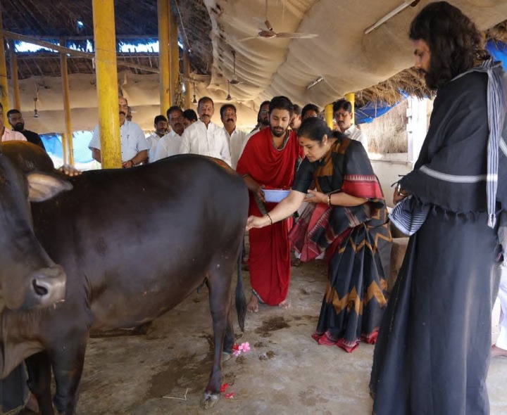 గోమాతకు ప్రత్యేక పూజలు చేసిన పురందేశ్వరి