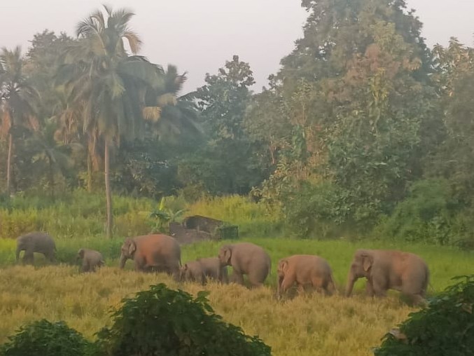 ‘కవ్వింపు చర్యలకు పాల్పడవద్దు’