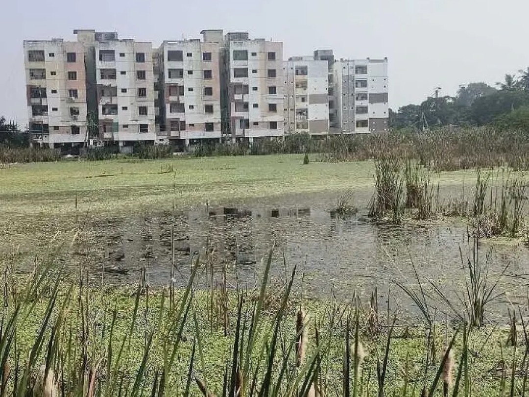 చెరువును తలపిస్తున్న ఖాళీ స్థలాలు